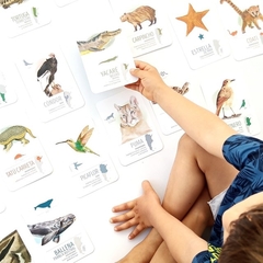 Juego De Cartas Animales De Argentina Keiki - Accesibble