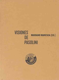 Visiones de Pasolini