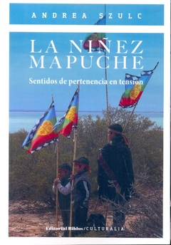 La niñez Mapuche