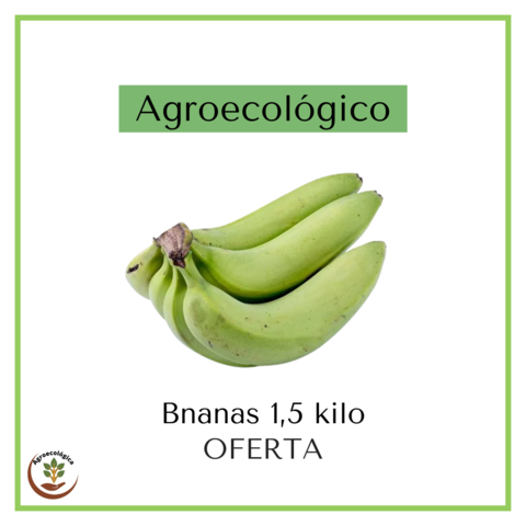 Bananas agroecológicas - 1,5 kilo - PROMO