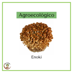 Hongos enoki - 100 grs