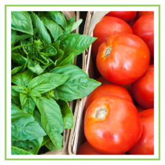 Tomates 1,5 kilo + albahaca 1 atado - Promo - comprar online