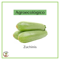 Zucchinis agroecológicos 500 grs aprox