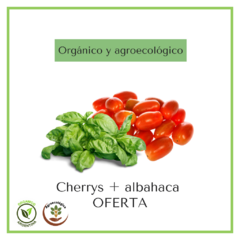 Tomates cherrys 250 grs + albahaca atado - Promo