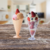Copa cucurucho helado cristal en internet