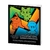 Box Coleção Treinador Avançado (ETB) Sprigatito, Fuecoco e Quaxly | Evoluções em Paldea - EV2 | Lacrado Original COPAG | 20 Boosters Carta Pokémon TCG