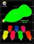 Pintura Fluorescente Bicapa Verde RAL 6038 x 3.6 litros