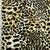 Gabardina Acrilica Lisboa Animal Print Pixelado - comprar online