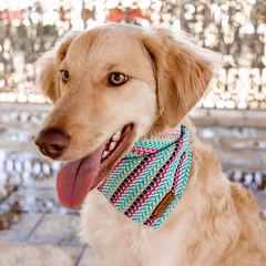 Bandana para cachorro - Tulipa - comprar online