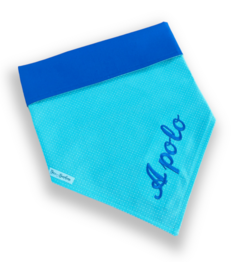 Bandana bolinhas tiffany com nome do pet dupla face azul - Doce Bandana