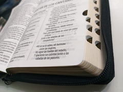 Biblia RVR 06 simil cuero con cierre e índice - comprar online