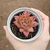 Echeveria Morgain