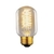 Lâmpada de Filamento T45 (CX-200 unidades) $16,00 cada - comprar online