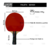 Set Ping Pong Red Instant + 2 Paletas + 3 Pelotas Portatil - Saavedra Fitness