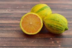 Limonero Variegado (lemon Pink) - 2 Colores