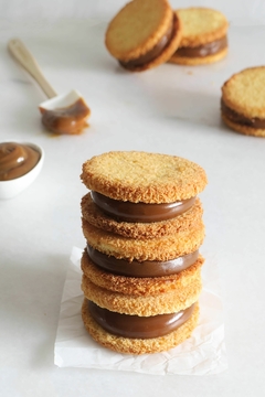 Alfajor de coco y dulce de leche 6 unidades