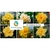 MIX com 30 sementes de flores dobradas e triplas amarelas - Rinoa Chen