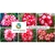 MIX com 50 sementes de flores dobradas e triplas matizadas bv - Rinoa Chen