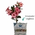 Premium Enraizador - 500 ml - RD Garden Center | Rosas do Deserto e Flor do Deserto