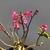Planta adulta de Rosa do Deserto ARABICUM de semente com flor simples rosa na internet