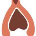 Logo de Ninfa Sex Store