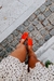 Loafers TOMATE - comprar online