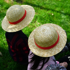 Chapéu de Palha Adultos / Infantil - comprar online
