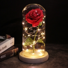 Cúpula Rosa Encantada com LED - loja online