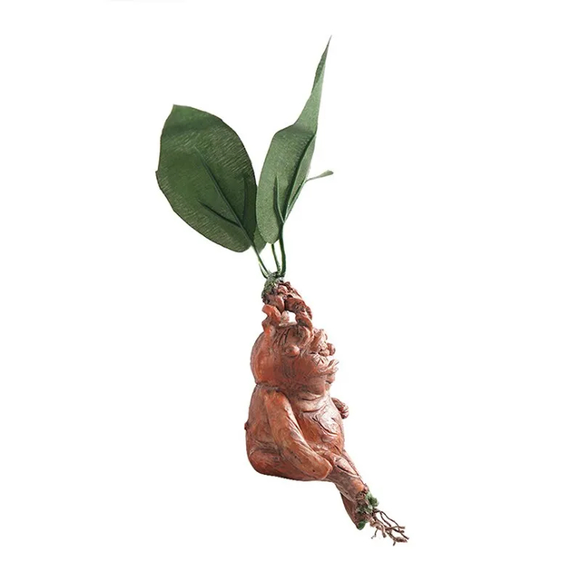 Objeto Decorativo Mandrake