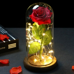 Cúpula Rosa Encantada com LED - comprar online