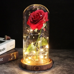 Cúpula Rosa Encantada com LED - loja online