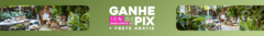 Banner da categoria PLANTAS PET FRIENDLY