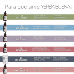 R3 - REDUCTORAS - Yerba Buena 