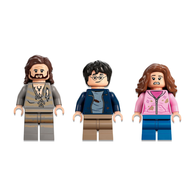 Lego 71028 - Serie 2 Completa 16 Personagens - Harry Potter