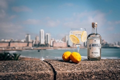 Oid Mortales London Dry Gin 750 cc - comprar online