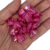 Mini botão de rosas passante 20mm Rosa pink - 20 unidades