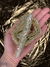 Manta de pedraria e cascalhos Azul claro com dourado Rolo na internet