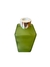 Frasco de vidro Verde Pistache 250 ml - Tampa Prata para aromatizador - comprar online