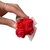 10 Mini buquês de rosas 10 cm para lembrança Dia das mães e Dia dos namorados na internet