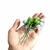Mini Botão De Rosas Em Tecido - 12 Flores - Lilás - comprar online