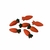Aplique Decorativo Mini Cenoura Em Resina - 10 Unidades na internet
