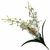Buquê de Flores Orquídea Para Decorações E Arranjos - Branco