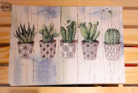 Individual de mesa Cactus