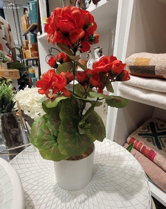 Begonias rojas 35cm