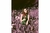 Imagen de LomoChrome Purple Pétillant 100–400 (Película 120)