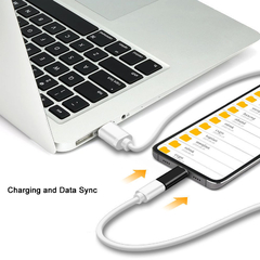ADAPTADOR USB OTG IPHONE (H) A TIPO C (M) Lighting Conecta CABLE Iphone IPAD a Usb Tipo C en internet