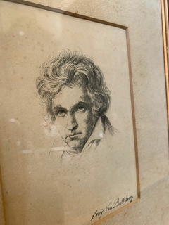 BEETHOVEN EM BICO DE PENA na internet