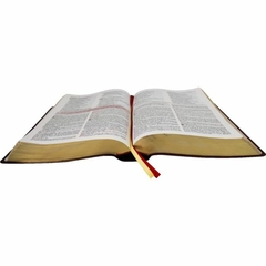 Bíblia de Estudo da Reforma (com Caixa) na internet