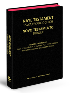 Bíblia Bilíngue Novo Testamento - Hunsrik - Português