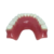 Macro Modelo Mandíbula Overdenture Acrílica com 2 ORings e Prótese Inferior - comprar online